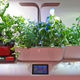 Illustration for article titled How Transforming My Apartment Into an Indoor Farm Turned Into a Very Bad Idea